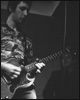 Les Traîtres - Concerts