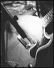 Les Traîtres - Concerts