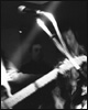 Les Traîtres - Concerts