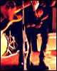 Les Traîtres - Concerts